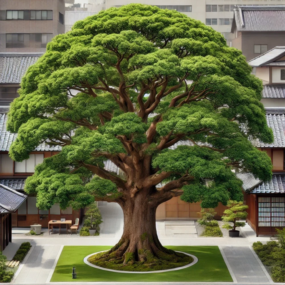 シラカシを植えて後悔?知っておくべき成長の速さとメンテナンス術 - 後悔ブログ